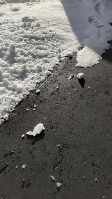 陽当たりが良いので前面道路の雪解けが早いのが特徴です